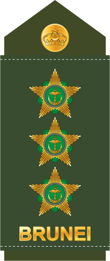 File:12.RBrLF-CAPT.svg