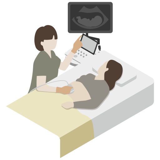 File:202301 Ultrasound Examination.svg