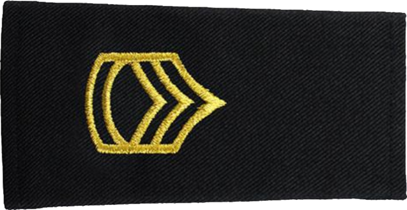 File:Army-U.S.-OR-07.png