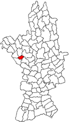 Location in Olt County