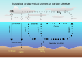 Image 36Air-sea exchange of CO2 (from Carbon dioxide in Earth's atmosphere)