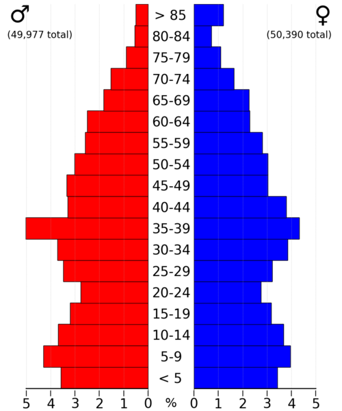 File:DallasCountyIA2022PopPyr.png