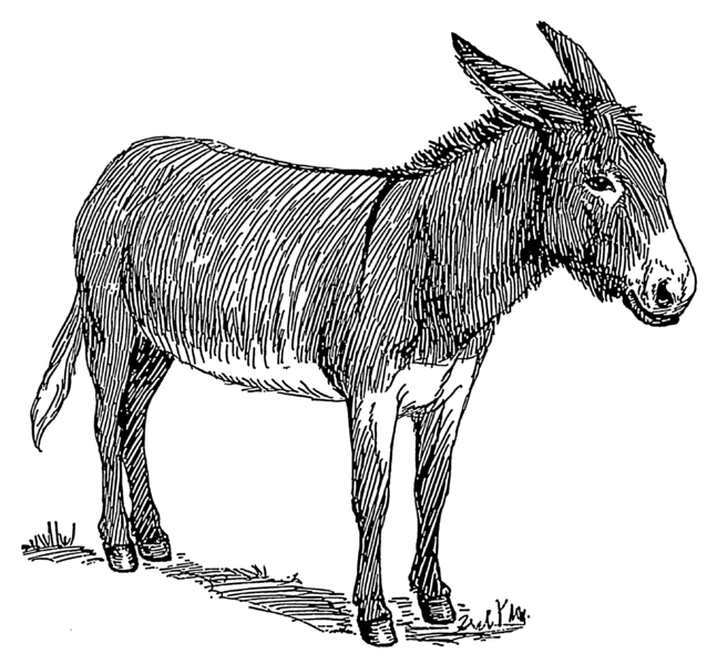 File:Donkey (PSF).png