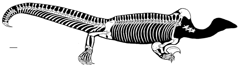 File:Drepanosaurus.png