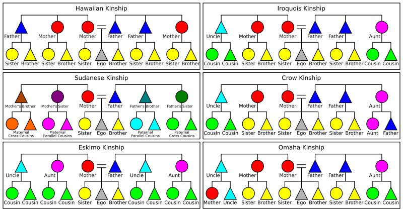 File:Kinship Systems.svg