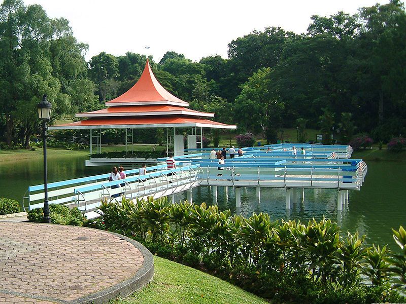 File:MacRitchie Reservoir.jpg