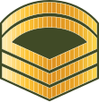 File:Maldives-Army-OR-7.svg