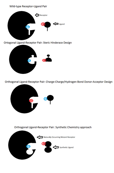 File:Myowndiagram2.png