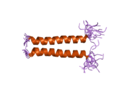 2hac: Structure of Zeta-Zeta Transmembrane Dimer