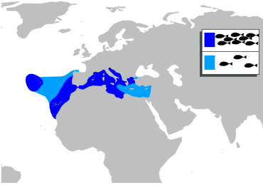 File:Phycis phycis mapa.svg