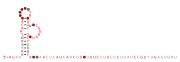 RAGATH-35 Secondary structure taken from the Rfam database. Family RF03056