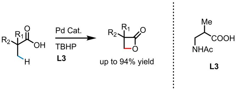 File:Reaction 9.tif