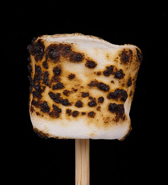 File:Roasted-Marshmallow.jpg