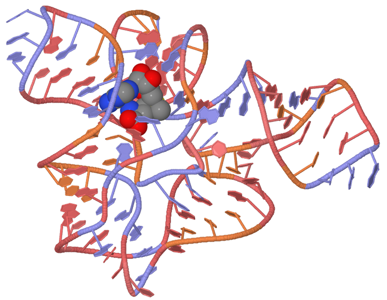 File:SAM riboswitch pdb-2gis.png