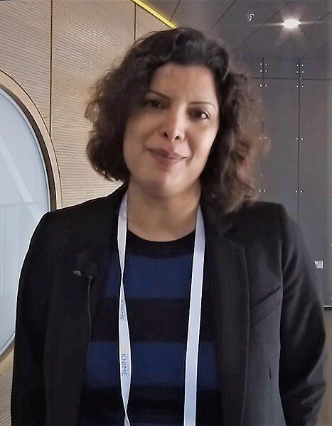 File:Tina Eliassi-Rad.jpg