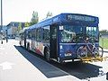 99 B-Line bus at the University of British Columbia bus loop. (The model is New Flyer D60LF.)