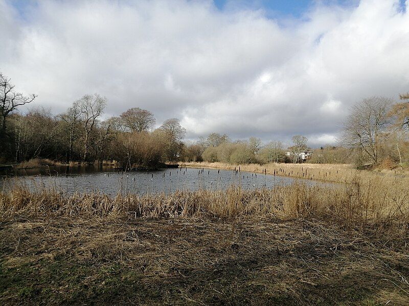 File:TrottickPonds1March2021.jpg