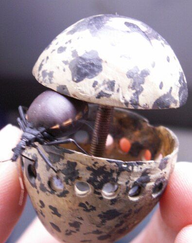 File:Bug in dummy-egg.tif