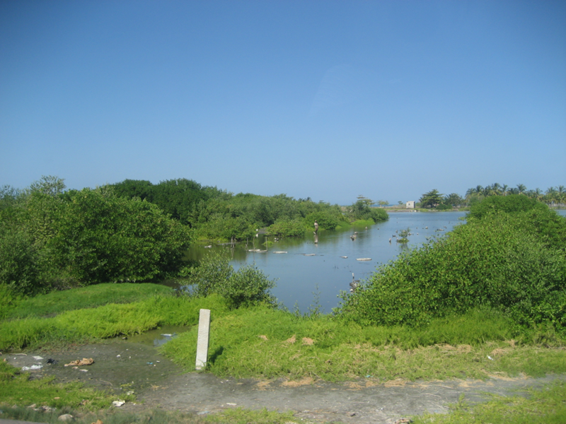 File:Cienaga6.png