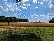 Open fields at the western end of Clayton Park.