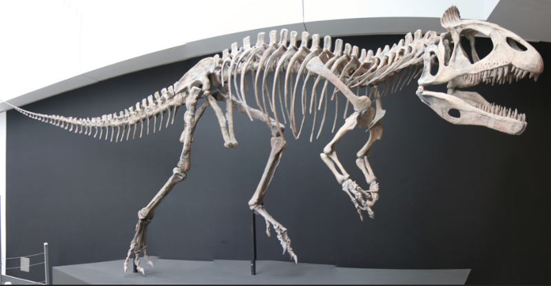 File:Cryolophosaurus ellioti.png