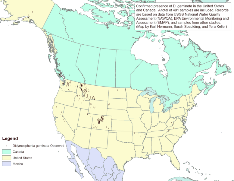 File:Didymo distribution.png