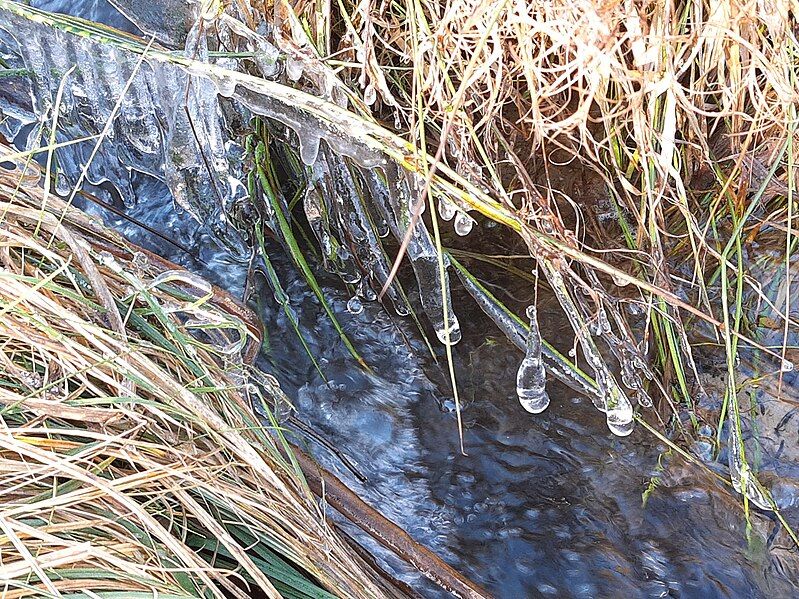 File:Ehrenbach icicles.jpg