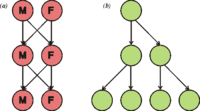 Diagram for Evolution of sex article