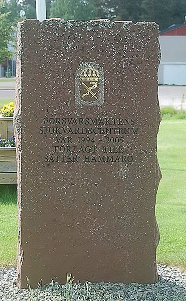 File:Försvaretssjukvård2.JPG