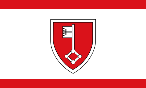 File:Flagge Rees.svg