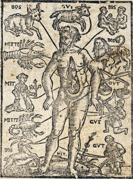 File:Homo signorum-1580.png