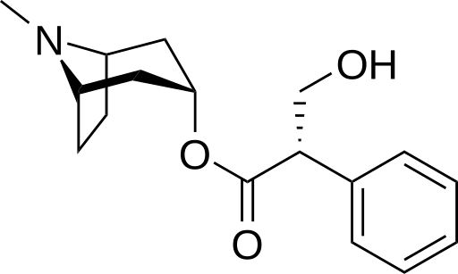 File:Hyoscyamine.svg