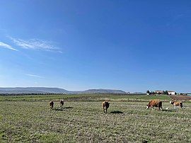 A view of the village's fields