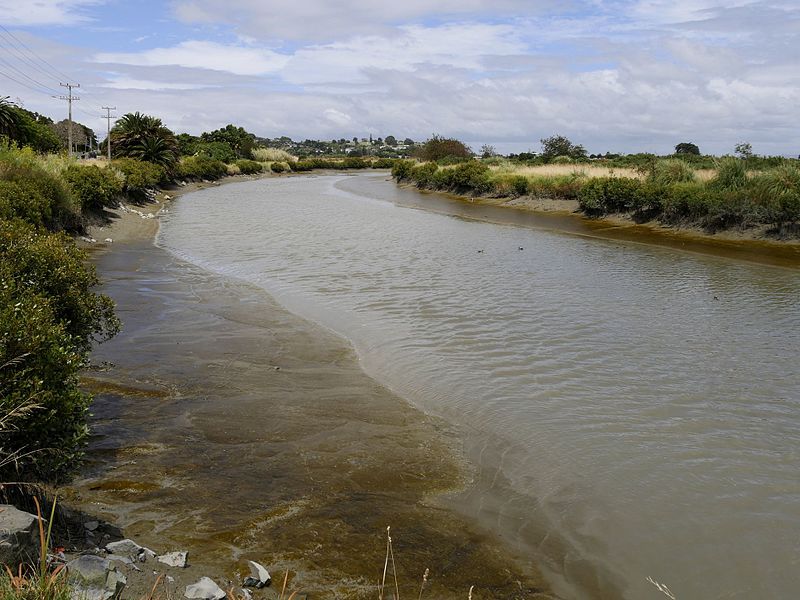 File:Kauaeranga River.jpg