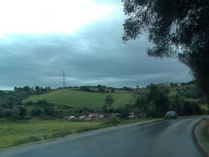 File:Road to Bouzareah.jpg