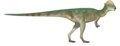 Stegoceras