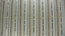 Photograph of strips of bamboo with vertical writing in an early Chinese seal script