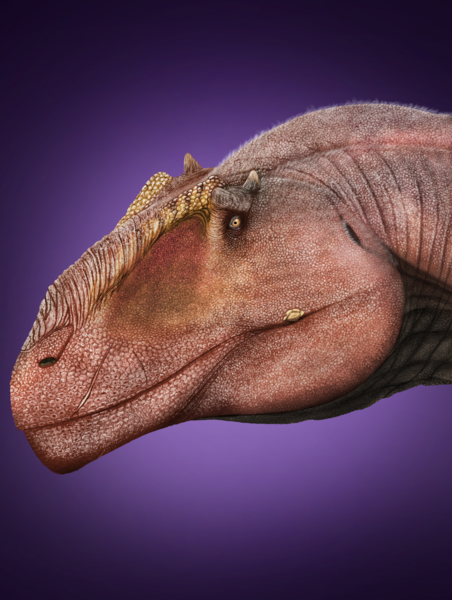 File:Taurovenator violantei.png