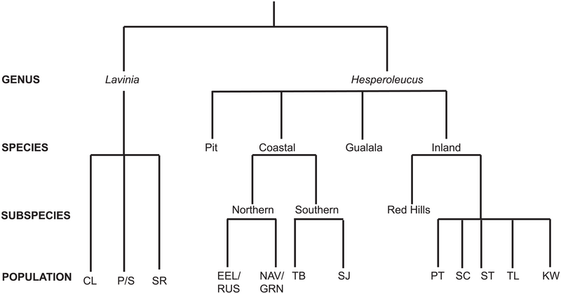 File:Taxonomy.png