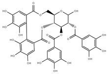 Chemical structure of Tellimagrandin I