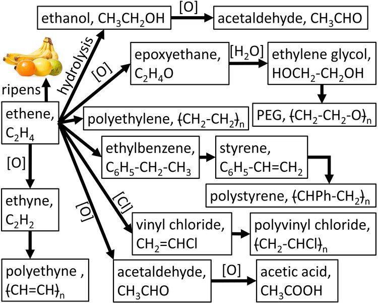 File:Uses of Ethene.tif