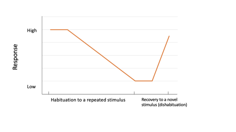 File:Yancey Habituation.png