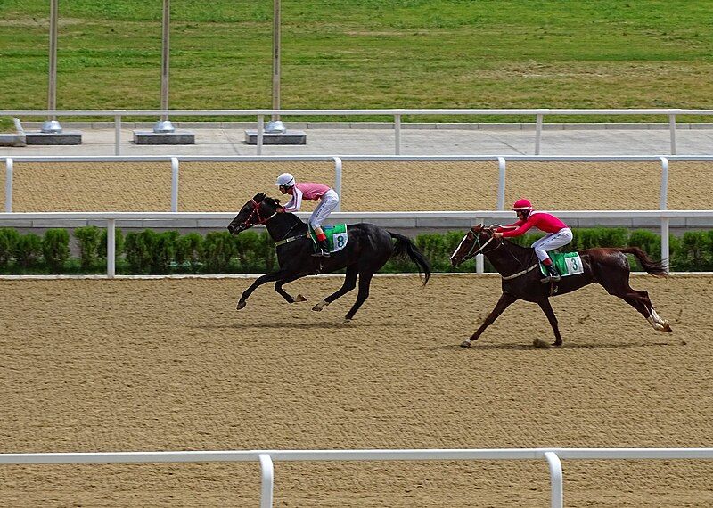 File:Akhal-Teke-Racing.JPG