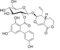 Amarogentin, a selected constituent of Gentiana