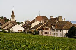 Auvernier village