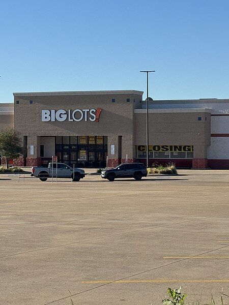 File:BigLotsMansfieldTexas.jpg