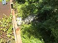 reinforced concrete exhaust/blast pit that directed rocket blasts "out and away" from test gantry. "very overgrown and has appx. 4-5 feet of stagnant standing water"