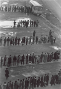 Five rows of people as they wait in straight lines for individual buses