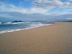 View of Campeche Beach, Florianópolis