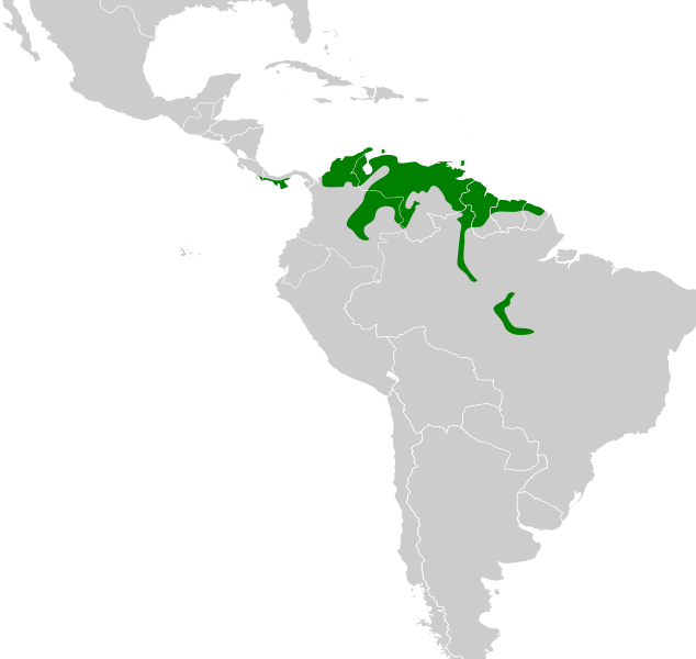 File:Eupsittula pertinax map.svg